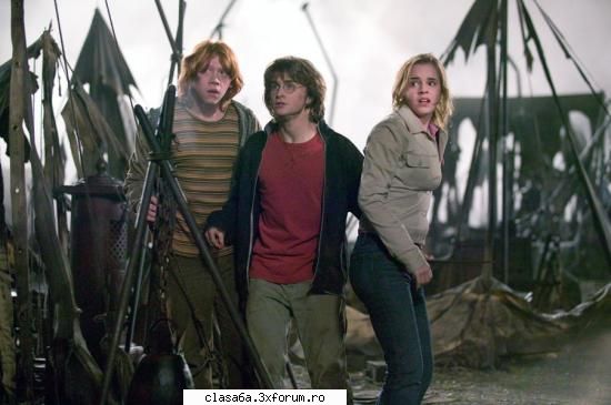Harry Potter - Oke ..Amandoi sunt draguti!!!!!!!!!!!!! - Cafenea