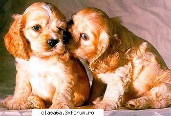 Today's birthday - APROPO VREAU SAU PRIMA CARE II SPUNE "LA MULTI - Zile de nastere